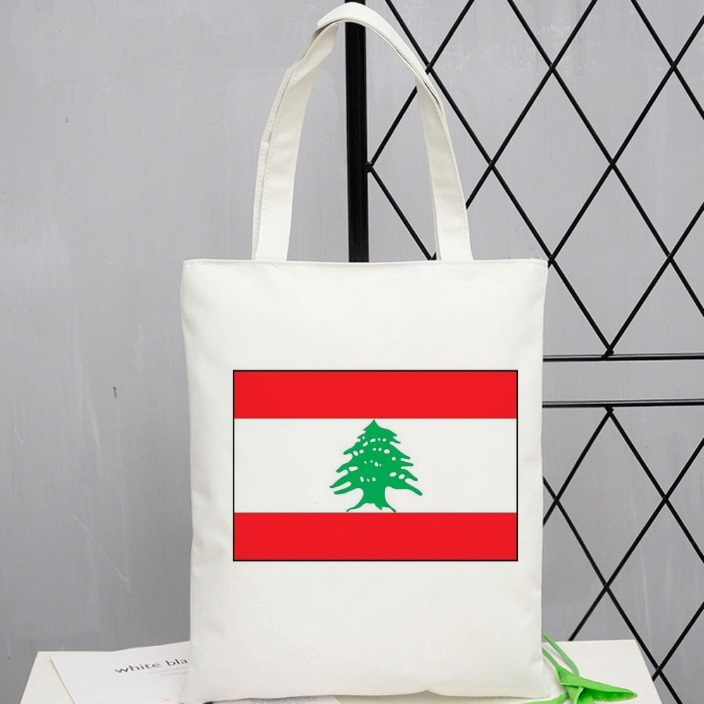 Bolsa de compras del Líbano, d - Women Bags Lebanon reseña y precio